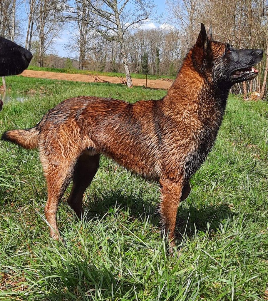 Mobius Des Malinoiseries De Nikita